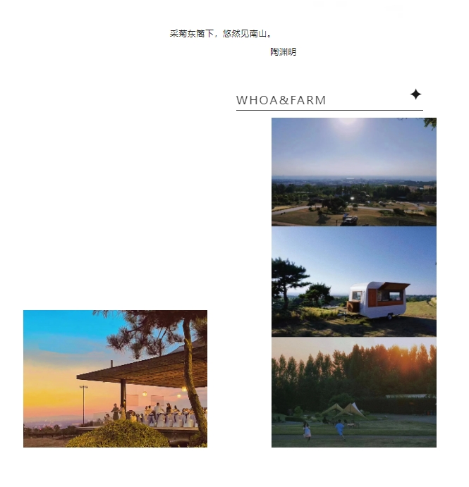 “*这篇没别的，就是舒服”