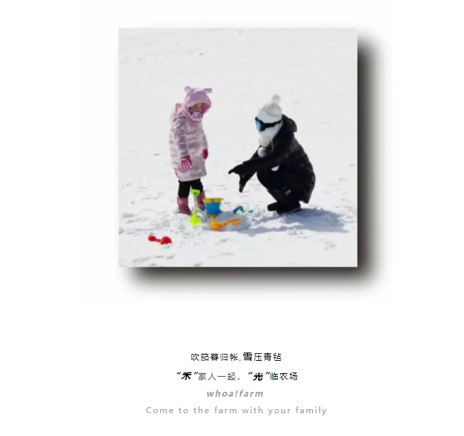 禾光农场·玩雪场
